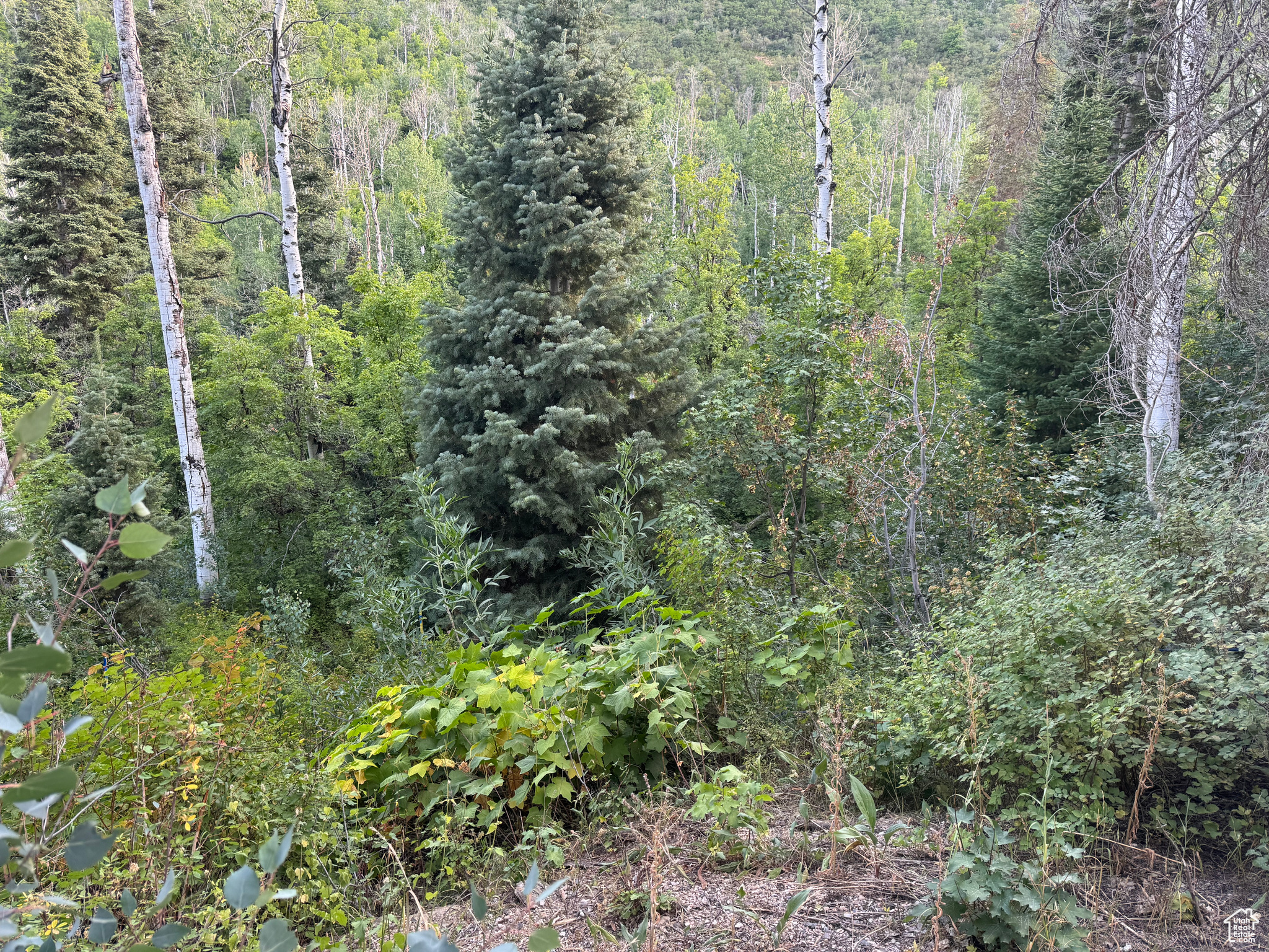 ASPEN HILLS - Land