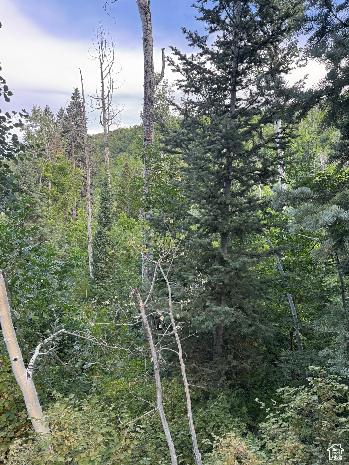 ASPEN HILLS - Land