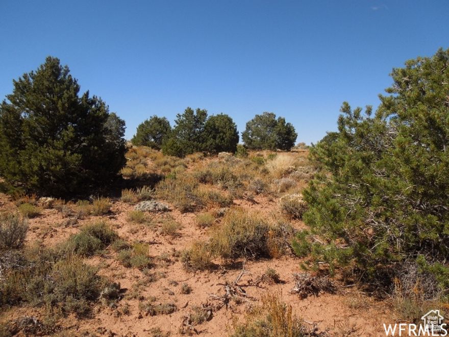 Many Lots Available. Close to Color Canyon Country. Within one hour's drive of Bear's Ears, Canyonlands Natl. Park, hunting. Nice building sites on parcel. Power transformer close by. Water wells across County road in close proximity are approximately 180 ft. deep.  Views of two mountain ranges to the North and West. San Juan County road CR 320. https://maps.app.goo.gl/D3Coazw8RaGoURcQA  Property was staked at one point. If you take a walk you could find them. They may be on the ground.
