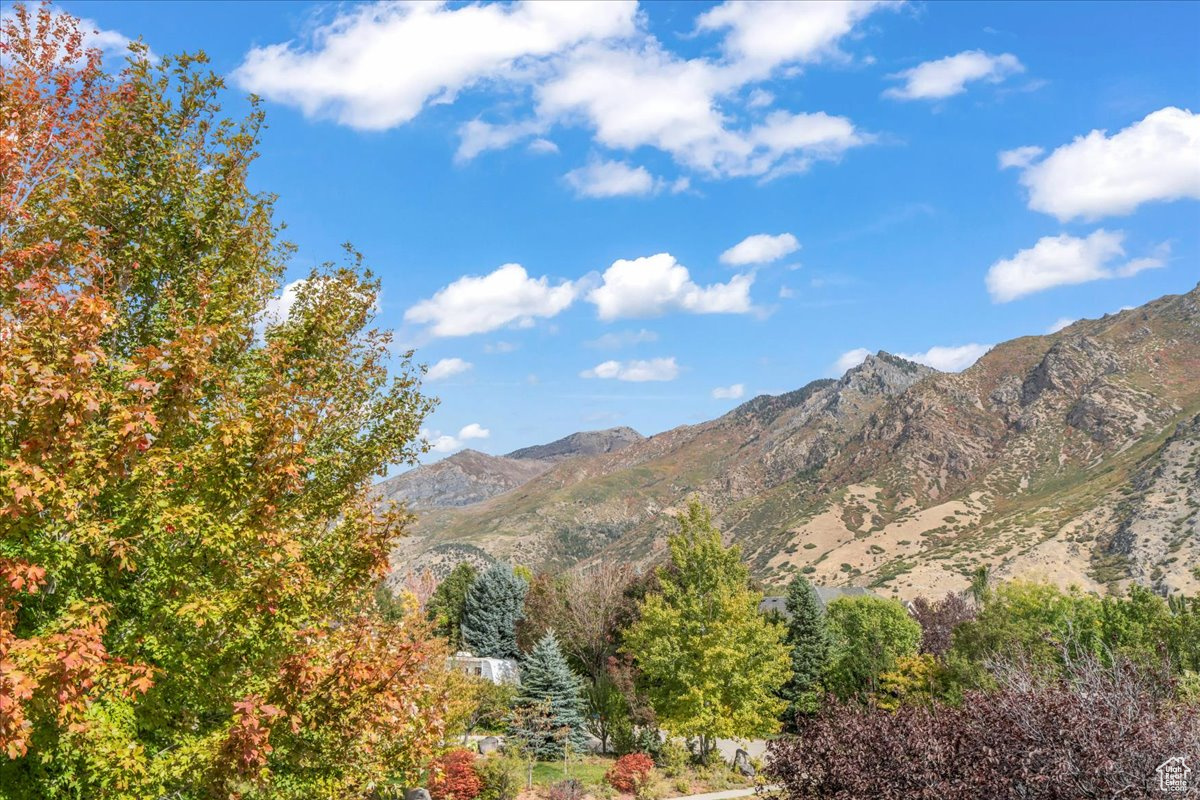 HEALEY HEIGHTS - Residential