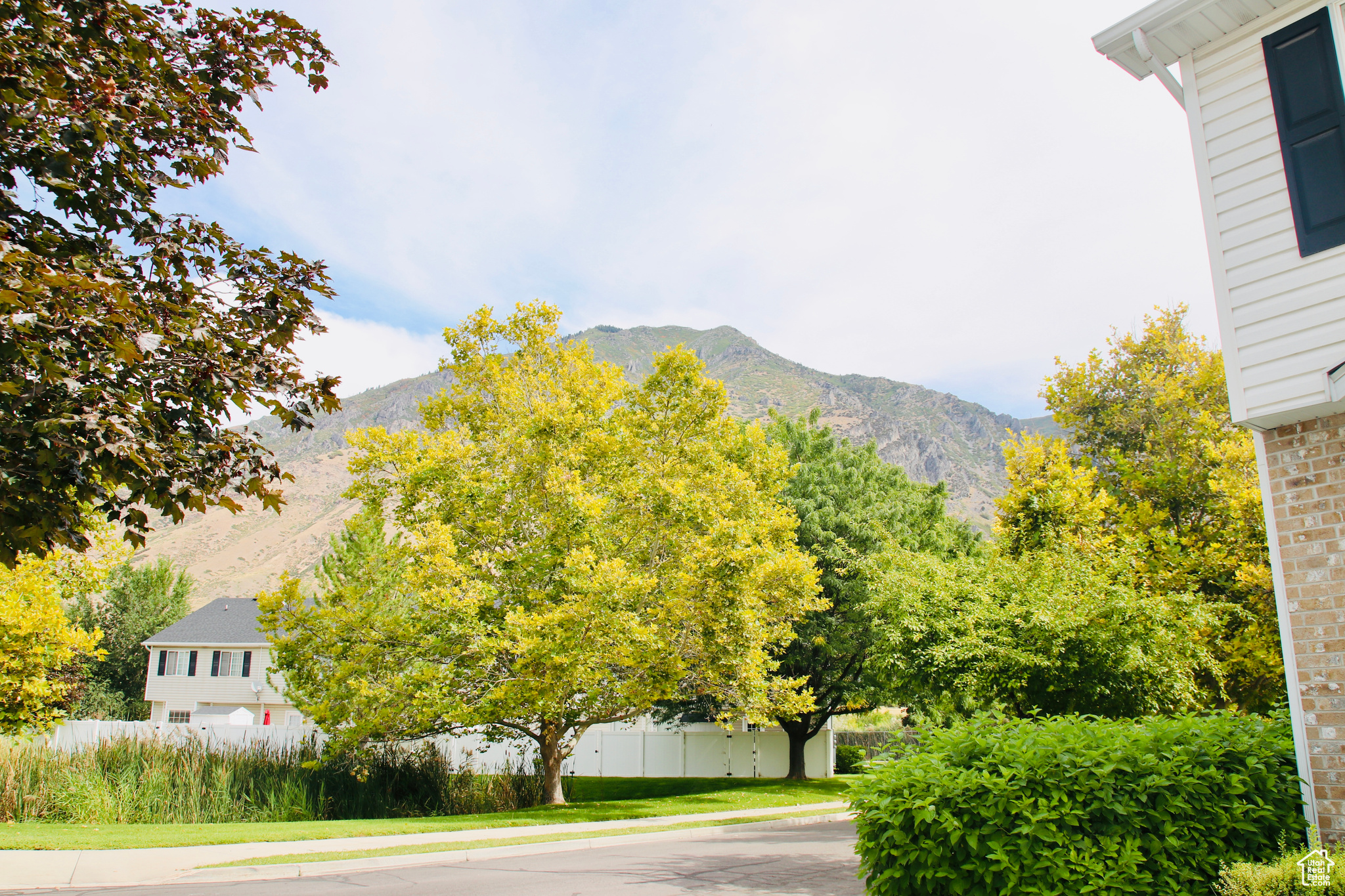 WILLOWS - Residential