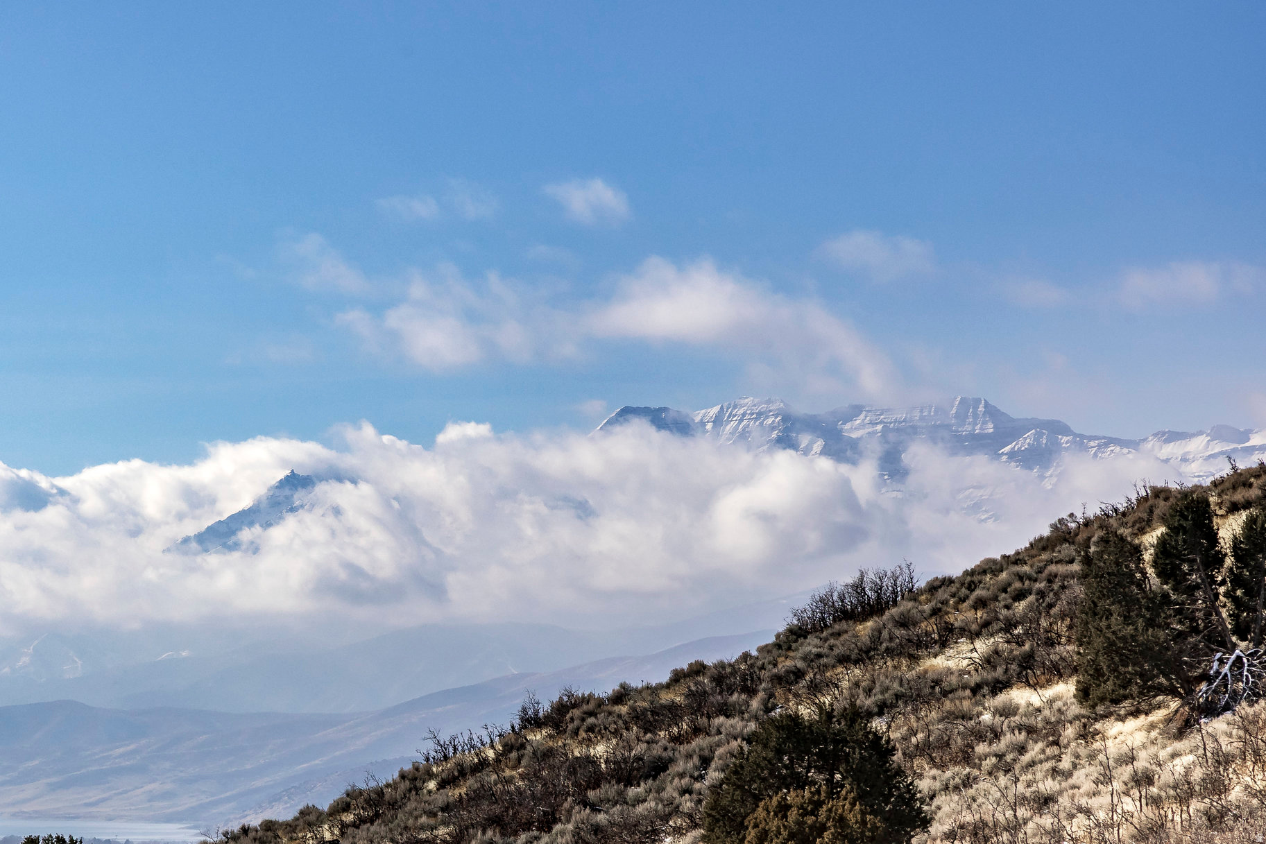 RED LEDGES - Residential