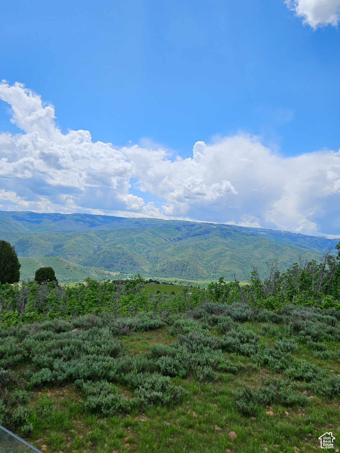 EVERGREEN PARK #1 - Land