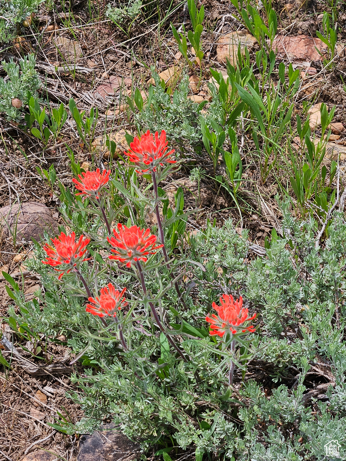 EVERGREEN PARK #1 - Land