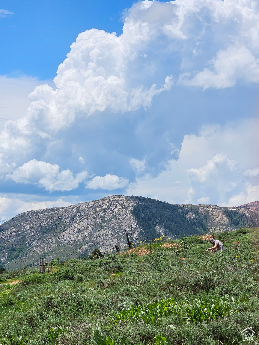 EVERGREEN PARK #1 - Land