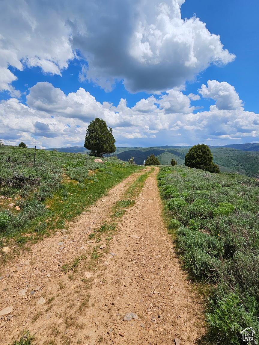 EVERGREEN PARK #1 - Land