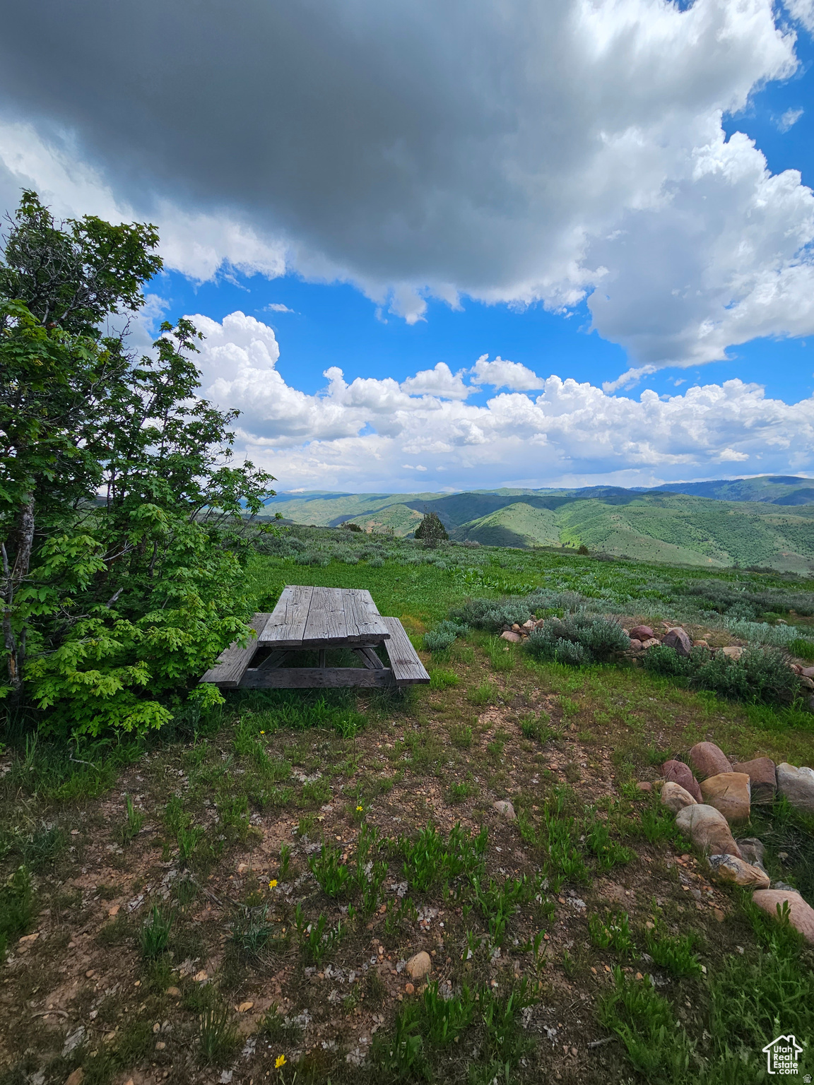 EVERGREEN PARK #1 - Land