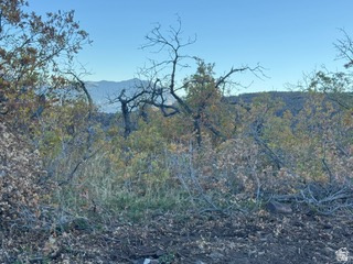 UPPER WHITTEMORE PLAT A - Land