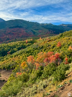 UPPER WHITTEMORE PLAT A - Land