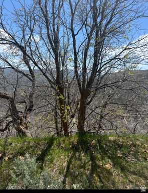 UPPER WHITTEMORE PLAT A - Land