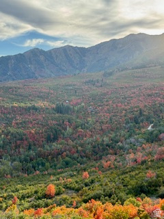 UPPER WHITTEMORE PLAT A - Land