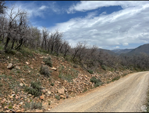 UPPER WHITTEMORE PLAT A - Land