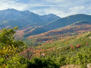 UPPER WHITTEMORE PLAT A - Land