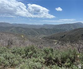 UPPER WHITTEMORE PLAT A - Land