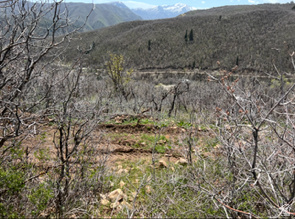 UPPER WHITTEMORE PLAT A - Land