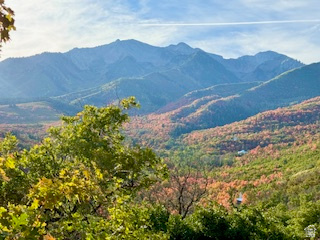 UPPER WHITTEMORE PLAT A - Land