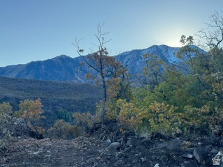 UPPER WHITTEMORE PLAT A - Land