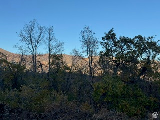 UPPER WHITTEMORE PLAT A - Land