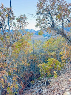 UPPER WHITTEMORE PLAT A - Land