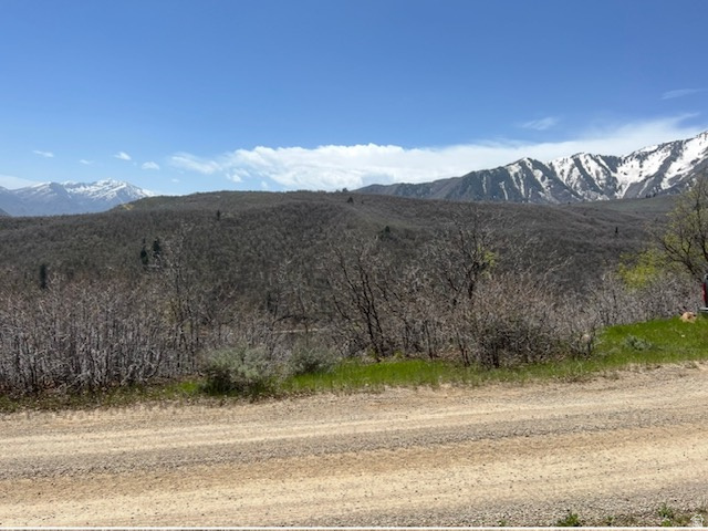 UPPER WHITTEMORE PLAT A - Land