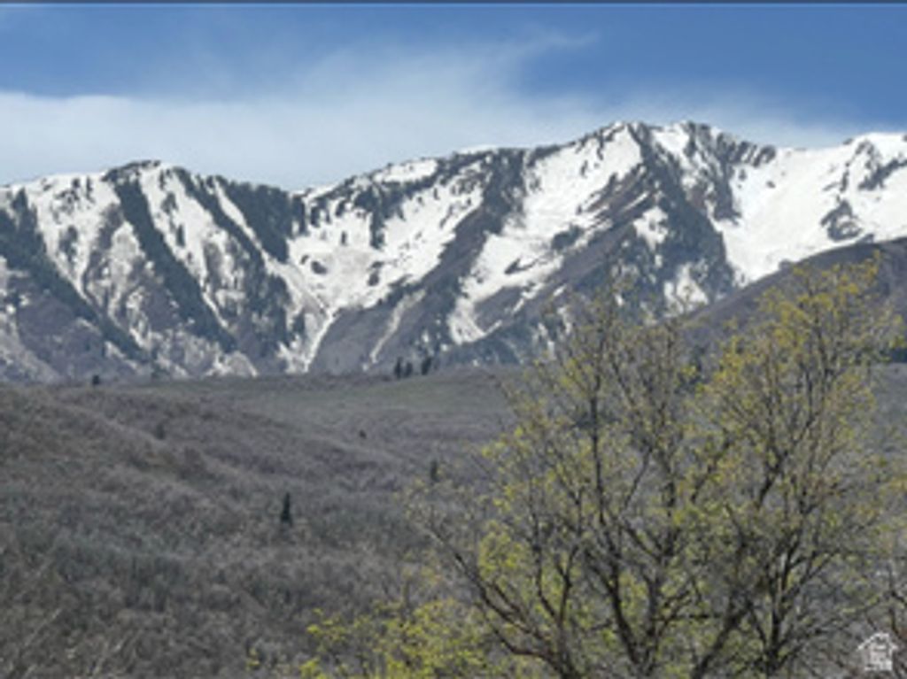 Photo of 10 E SPRING MOUNTAIN DR #10, Springville, UT 84663 (MLS # 2153530)