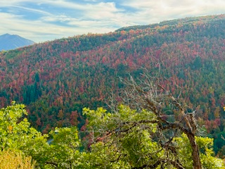 UPPER WHITTEMORE PLAT A - Land
