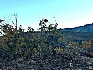 UPPER WHITTEMORE PLAT A - Land