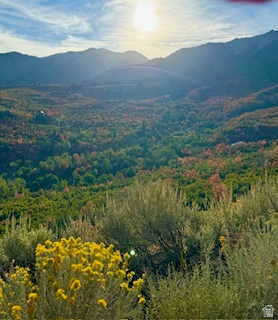 UPPER WHITTEMORE PLAT A - Land