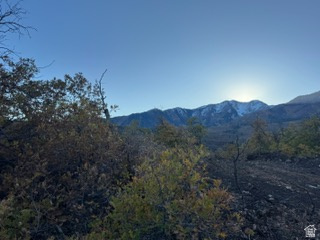 UPPER WHITTEMORE PLAT A - Land