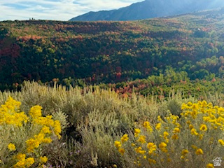 UPPER WHITTEMORE PLAT A - Land