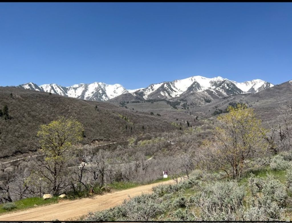 Photo of 10 E SPRING MOUNTAIN DR #10, Springville, UT 84663 (MLS # 2153530)