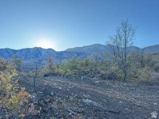 UPPER WHITTEMORE PLAT A - Land