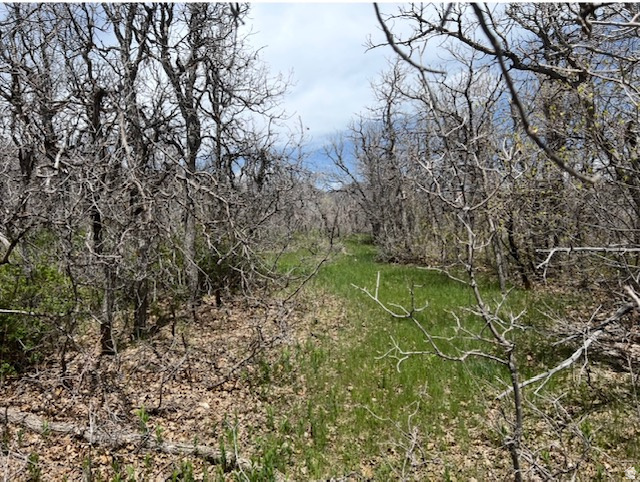 UPPER WHITTEMORE PLAT A - Land