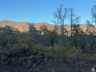 UPPER WHITTEMORE PLAT A - Land