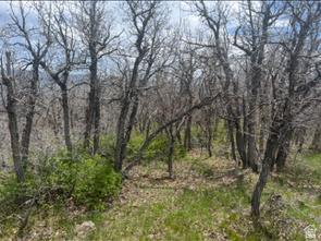 UPPER WHITTEMORE PLAT A - Land