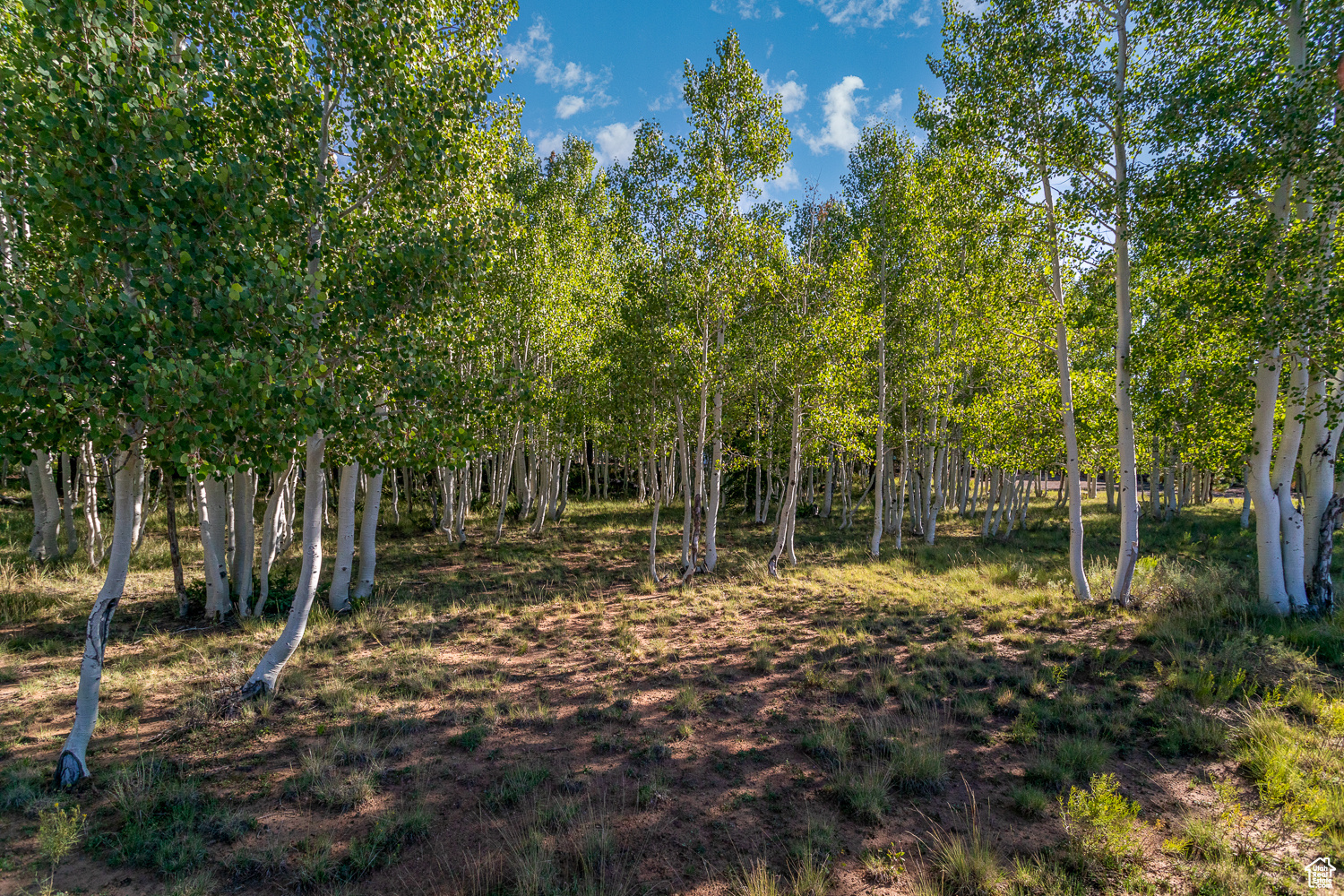 4175 N Butch Cassidy Ln #27, Duck Creek Village, Utah image 32