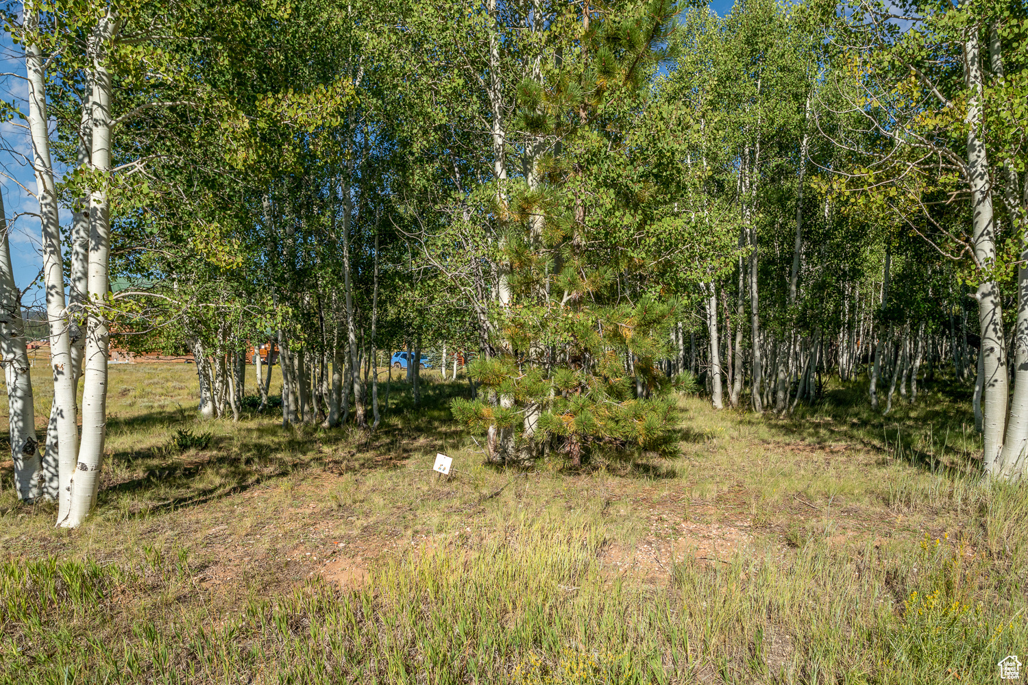 4175 N Butch Cassidy Ln #27, Duck Creek Village, Utah image 34