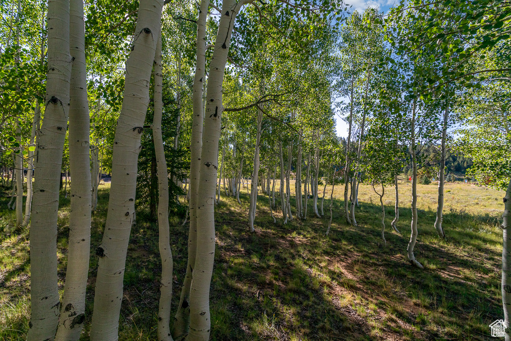4175 N Butch Cassidy Ln #27, Duck Creek Village, Utah image 21