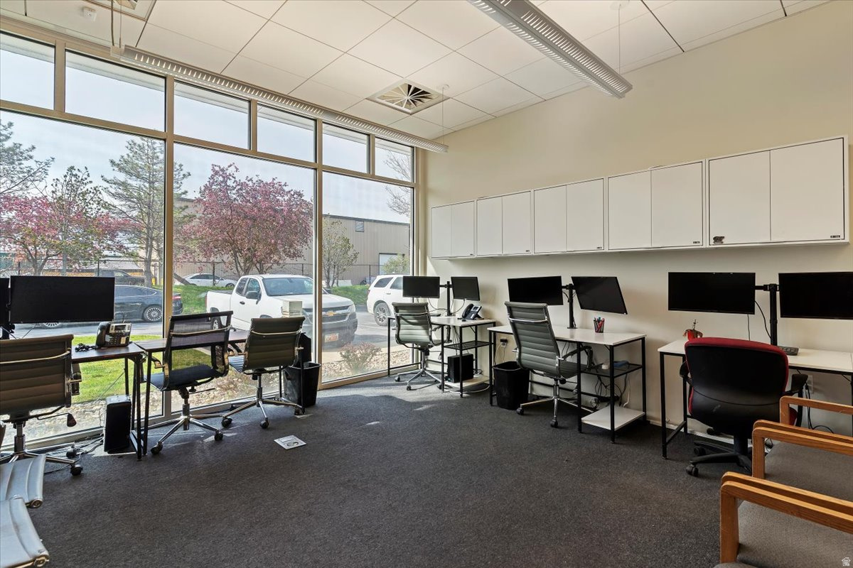 CHELATED MINERALS - Commercial Sale