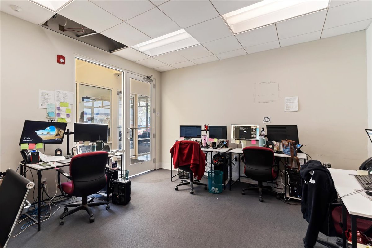 CHELATED MINERALS - Commercial Sale