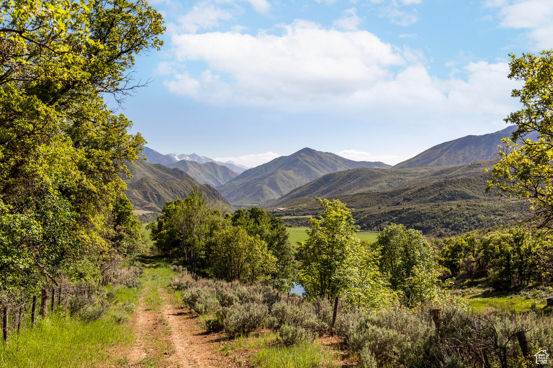 533 N Left Fork Hobble Creek Cyn, Springville, Utah image 14