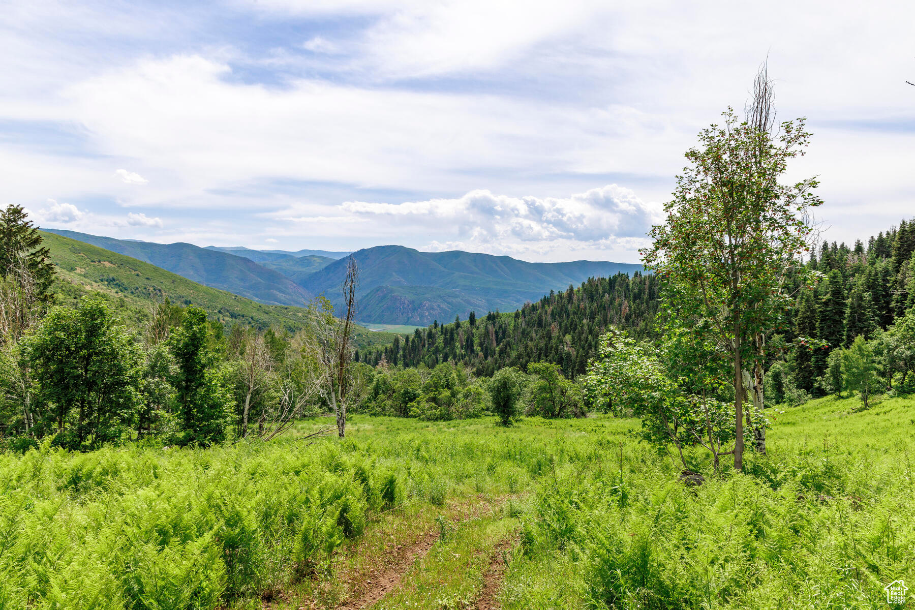 533 N Left Fork Hobble Creek Cyn, Springville, Utah image 21