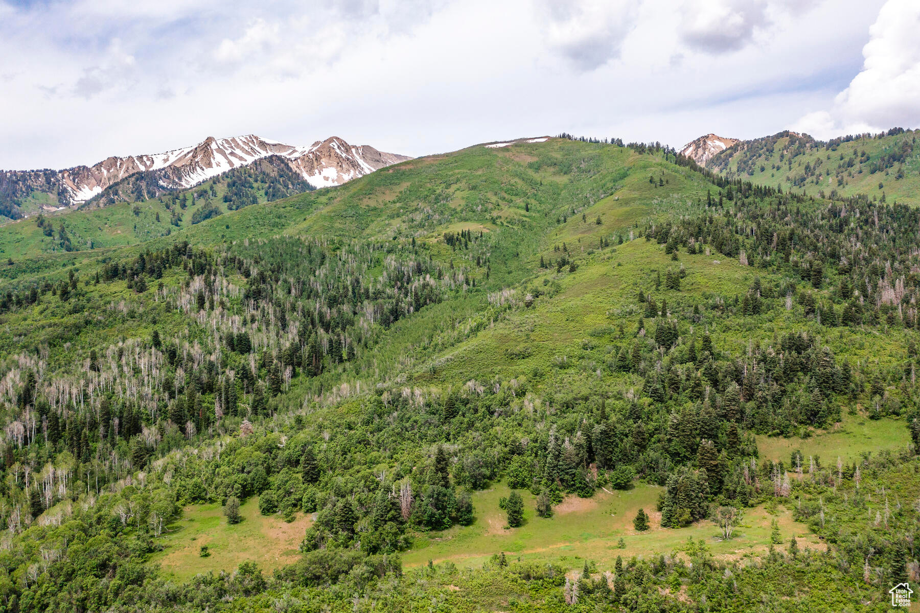 533 N Left Fork Hobble Creek Cyn, Springville, Utah image 20