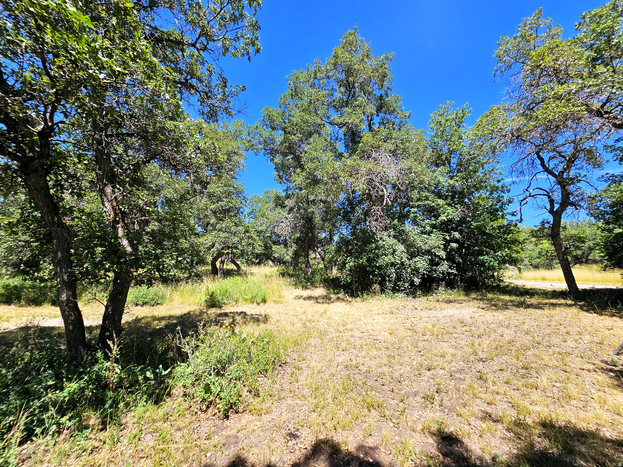 SKYLINE MOUNTAIN RESORT - Land