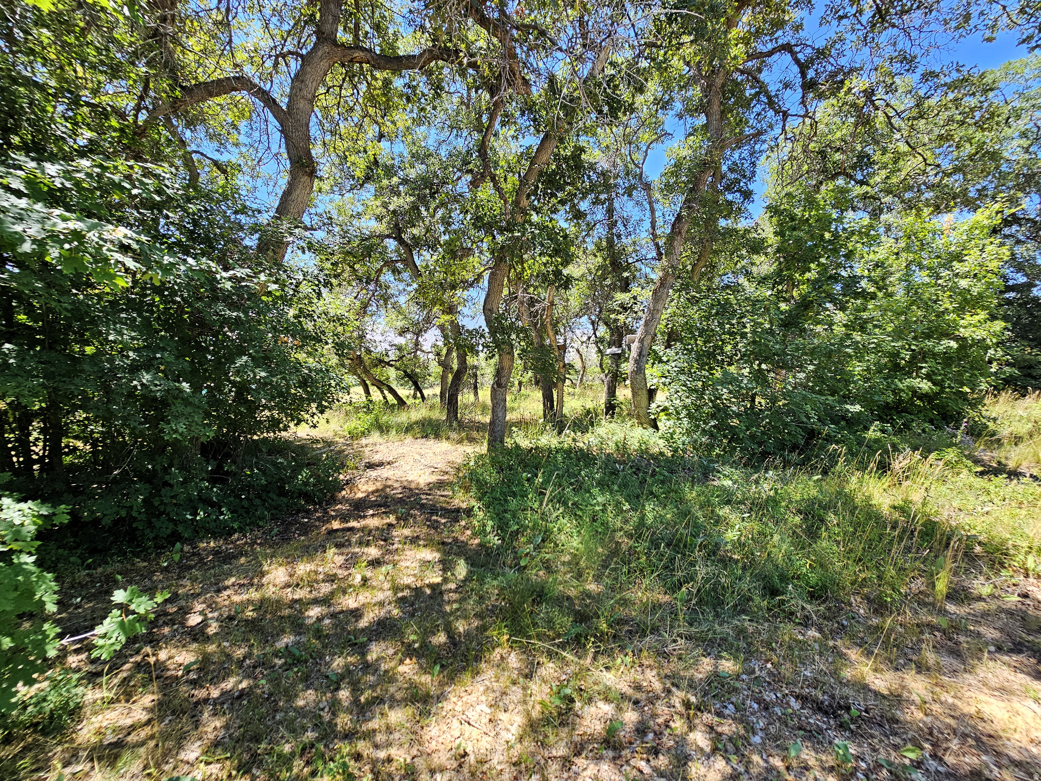 SKYLINE MOUNTAIN RESORT - Land