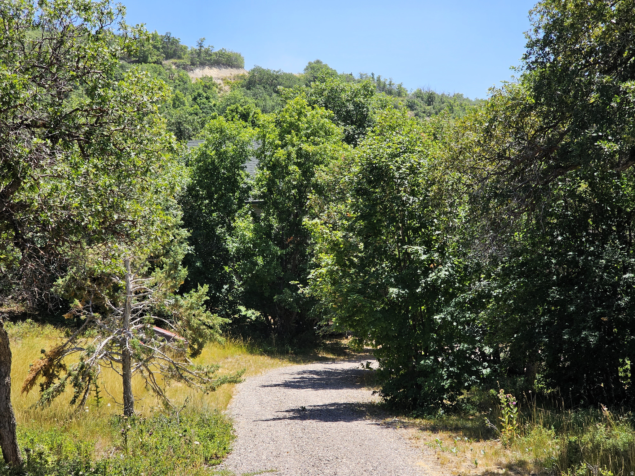 SKYLINE MOUNTAIN RESORT - Land
