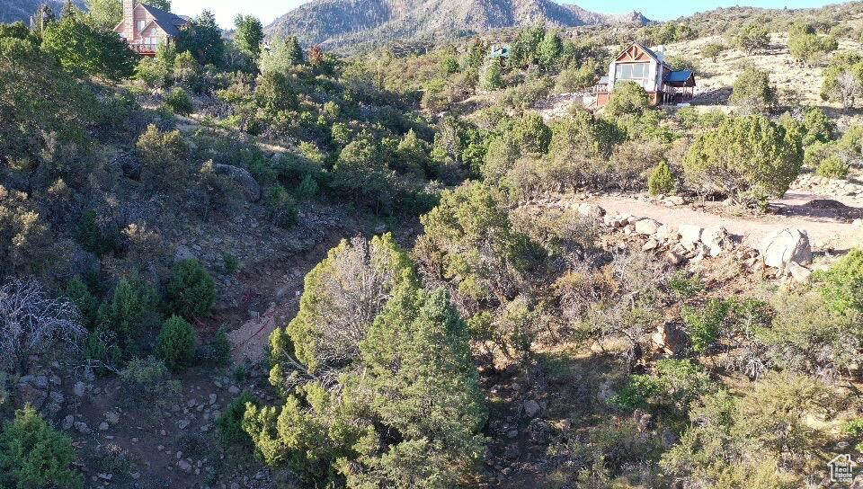 PINE VALLEY RANCHOS - Land