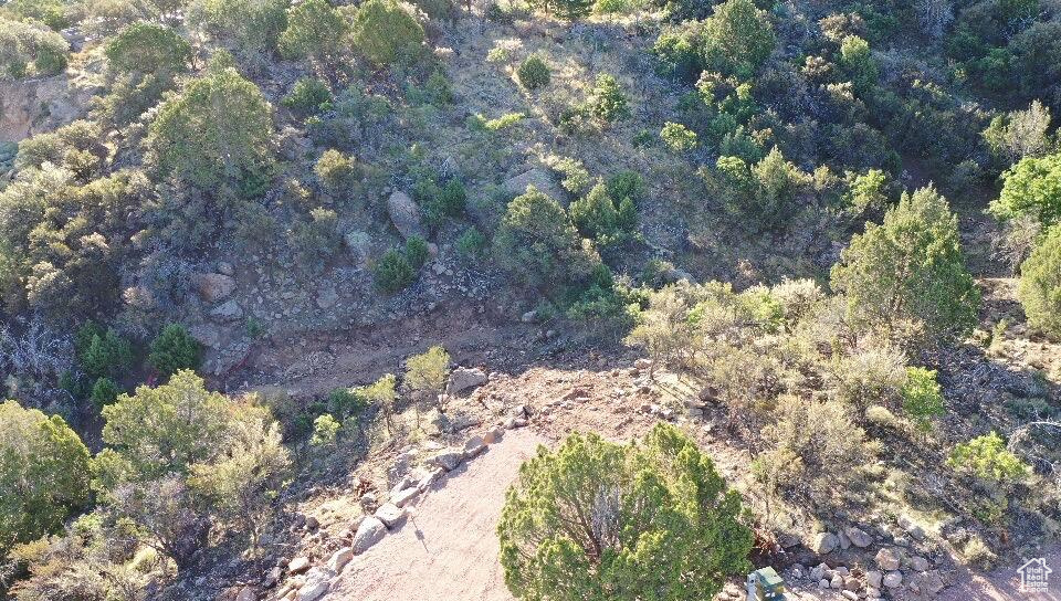 PINE VALLEY RANCHOS - Land