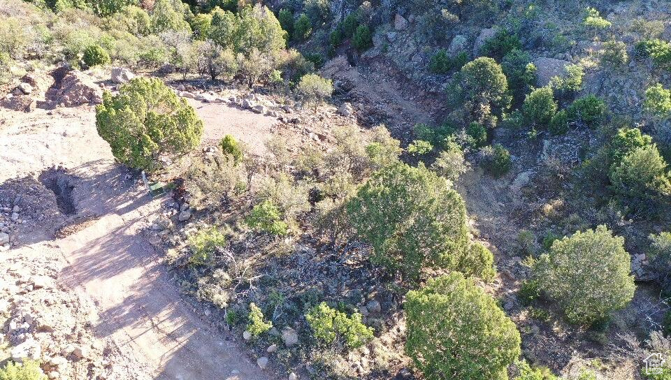 PINE VALLEY RANCHOS - Land