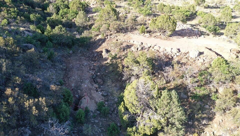 PINE VALLEY RANCHOS - Land